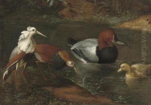 Ducks And Waders Watering by Marmaduke Cradock