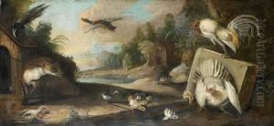 Chickens And A Cockerel Frightened By Atethered Fox