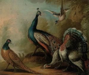 A Peacock, Two Turkeys, A Pheasant, And A Jay In A Landscape by Marmaduke Cradock