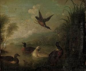 Ducks And Ducklings On A Pond