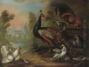 A Peacock, Hens, Fowl And Other Birds In A Wooded River Landscape