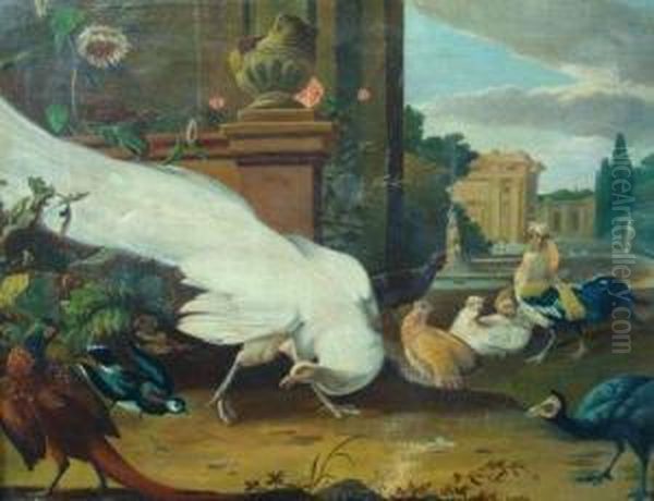 A Chinese Peacock - view 1