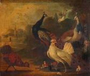 Peacock And Exotic Farmyard Birds by Marmaduke Cradock