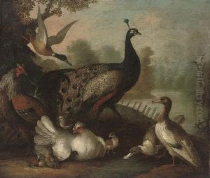 A Peacock, Ducks, Fowl And Other Birds In A Wooded River Landscape by Marmaduke Cradock