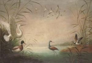 Waterfowl On The Banks Of A Lake by Marmaduke Cradock