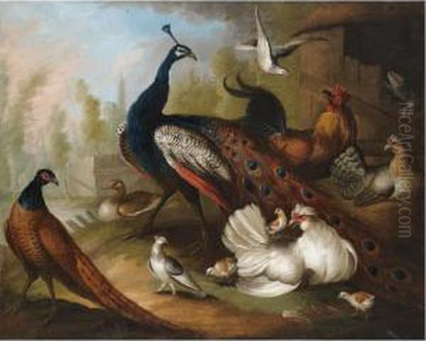 An Assembly Of Birds In A Parkland Setting, Including A Peacock, Hens And A Duck - view 1