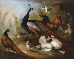An Assembly Of Birds In A Parkland Setting, Including A Peacock, Hens And A Duck