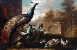 A Peacock And Other Birds In An Italianate Ruin.