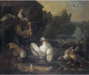 A Farmyard Still Life With
Doves, Chickens And Chicks, Ducks And Ducklings, A Cockerel, And A
Turkey by Marmaduke Cradock