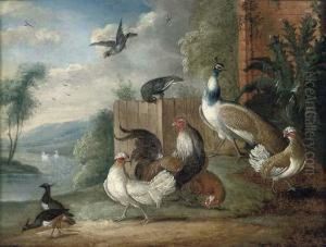 A Peacock, A Cockeral, Hens And Pigeons In A Wooded Clearing