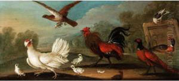 Fowl And Other Birds - view 1