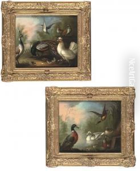 Peacocks, Poultry And Doves In A Wooded Landscape - view 1