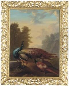 A Peacock And Pheasants In A Rocky Wooded Landscape by Marmaduke Cradock
