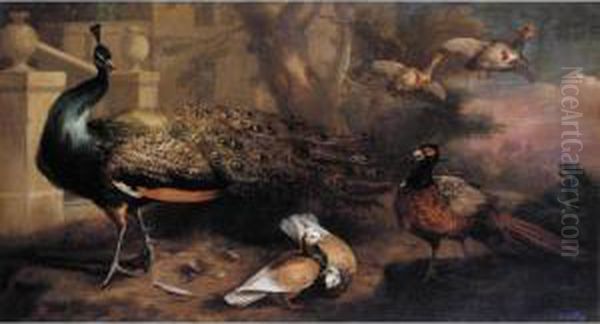 An Assembly Of Fowl, Including A Peacock, Pigeons, Pheasant And
Partridges - view 1