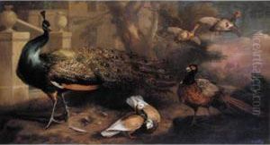 An Assembly Of Fowl, Including A Peacock, Pigeons, Pheasant And
Partridges by Marmaduke Cradock