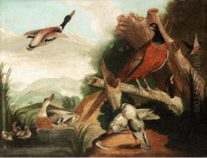 Still Life With Ducks, Kingfishers, Doves And A Pheasant In A River Landscape