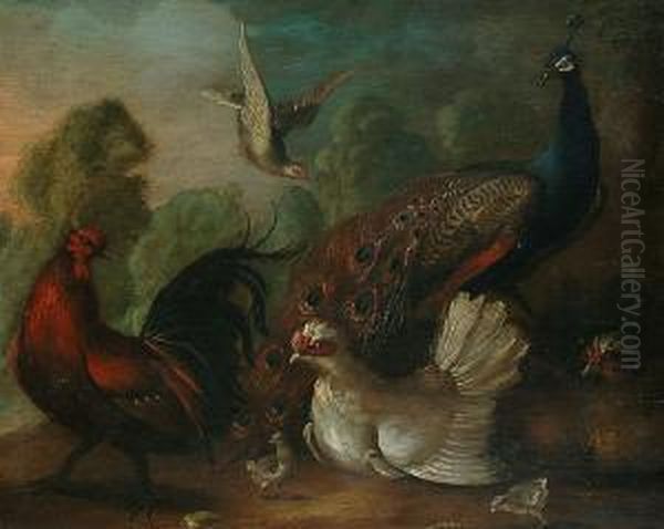 Pheasants And Chickens In A Landscape - view 1