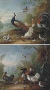 A Peacock, Doves, Chickens And A
Turkey In A Landscape; Andchickens, Doves And Cockerels In A Landscape by Marmaduke Cradock