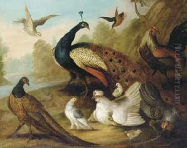 A Peacock, Pheasant, Hen, A Dove And Other Fowl In A Riverlandscape - view 1