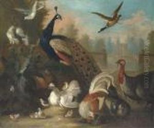 A Peacock And Other Birds In An Ornamental Landscape