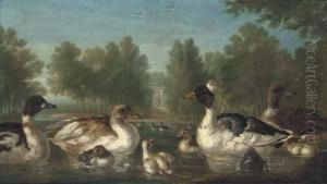 Ducks On A Pond With A Pavilion Beyond