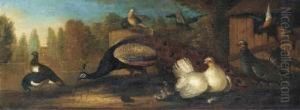 A Peacock, Pidgeons, Chickens And Other Birds In A Landscaped Garden by Marmaduke Cradock