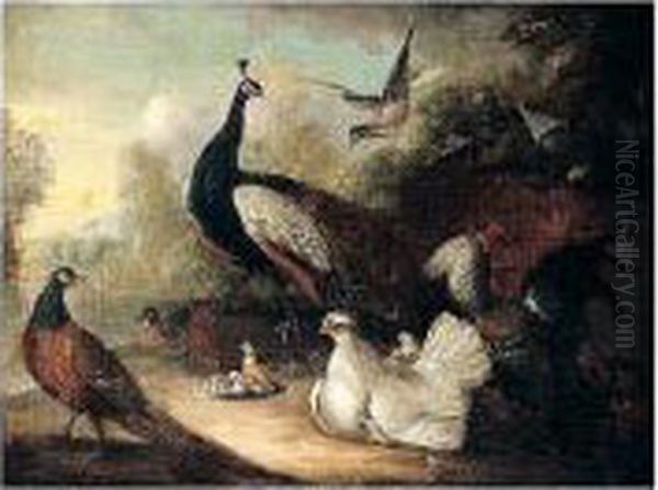 An Assembly Of Birds - view 1