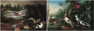 Assemblies Of Fowl by Marmaduke Cradock
