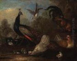 A Peacock, A Peahen, Chickens And A Dove In A Landscape