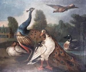 A Peacock, Duck, And A Jay In An Ornamental Garden