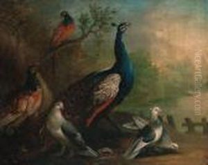 A Peacock, Doves And Pheasants By A Lake