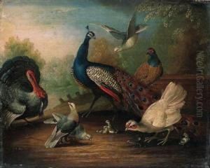 A Peacock, A Turkey, A Hen, Doves, Chicks And A Pheasant By Alake