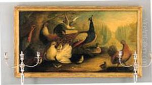 A Peacock, Cockerels, A Hen, A Dove And A Turkey In An Ornamentalgarden by Marmaduke Cradock