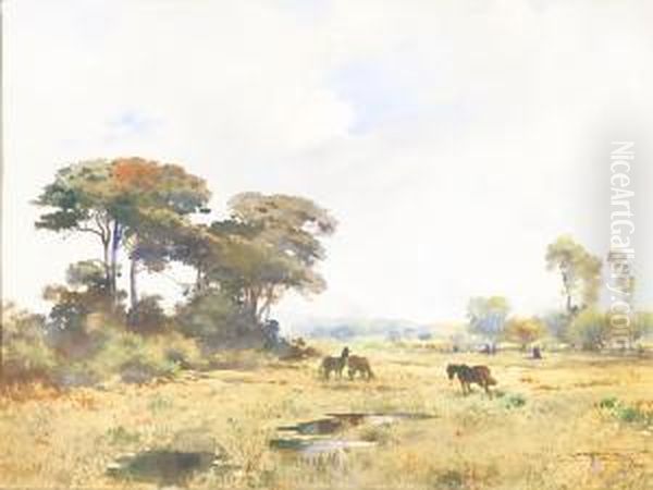 Paesaggio Con Cavalli In Liberta - view 1