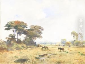 Paesaggio Con Cavalli In Liberta by Aurelio Craffonara