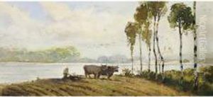 L'aratura L'aratura