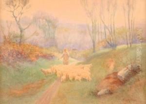 Changing Pasture by Percy Robert Craft