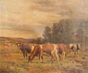 'a Group In Sunshine''