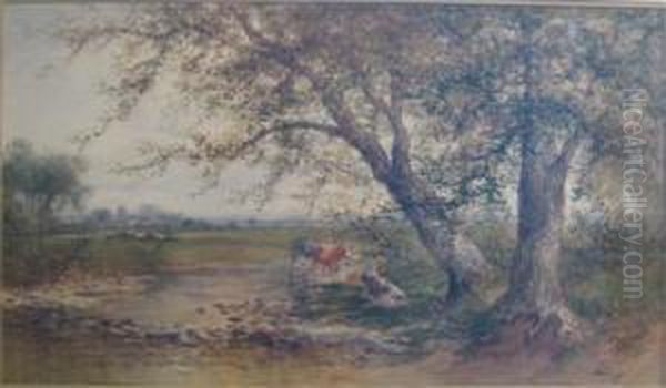 Watering Hole - view 1