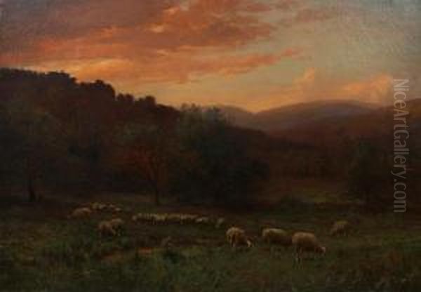 At The Close Of A Summer Day - view 1