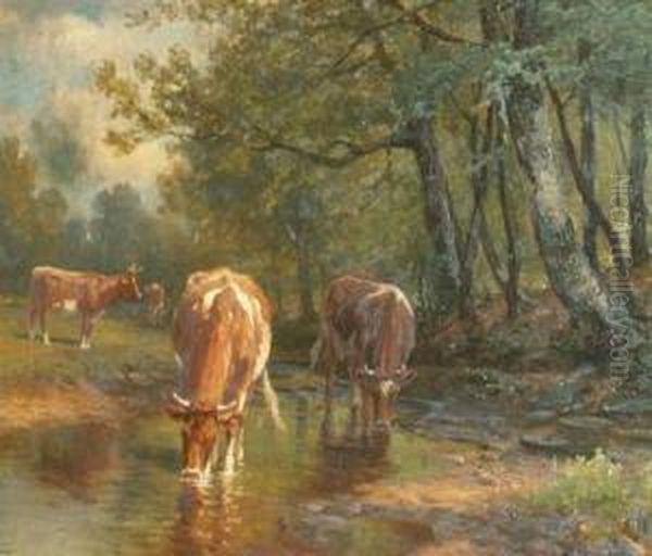 Cows Watering - view 1