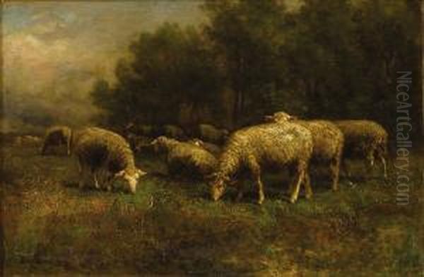Sheep At Pasture - view 1