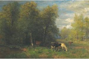 Cattle Grazing By A Woodland Pool Cattle Grazing By A Woodland Pool