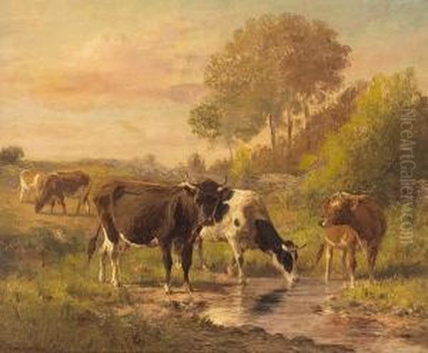 Cattle Watering At Dusk - view 1