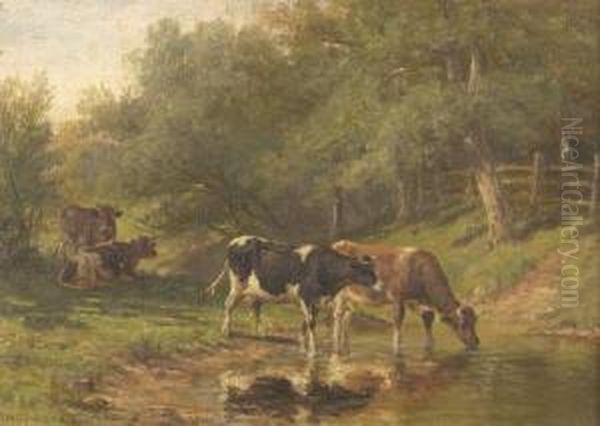 Sunshine And Shade - view 1