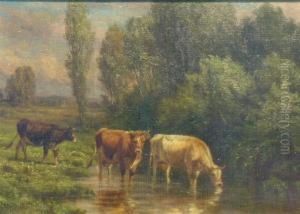 Cattle At The Brook by Thomas Bigelow Craig