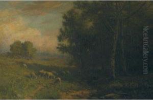Sheep Grazing By The Edge Of A Wood Sheep Grazing By The Edge Of A Wood