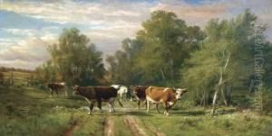 Cattle On A Country Road Cattle On A Country Road