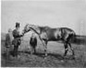 Wild Dayrell, Derby Winner 1856 Wild Dayrell, Derby Winner 1856