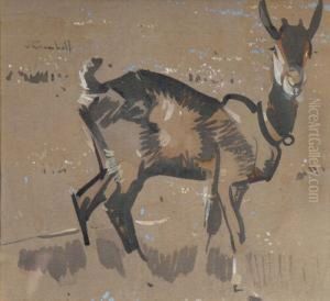 Study Of A Goat